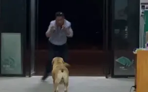 爸爸耍武术逗狗狗玩，女儿在一旁笑出“猪叫”！场面萌翻网友
