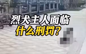 2岁女童遭烈犬撕咬 狗主人可能面临什么刑罚？