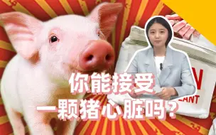知世点28|动物器官移植能解决人体器官短缺吗？