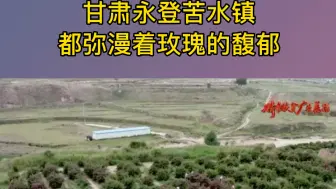 每年仲夏