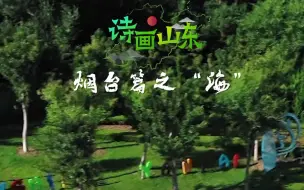 诗画山东｜来烟台吧！感受这个海滨城市特有的色彩