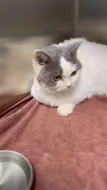 住院的富贵儿
