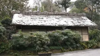 探访雪后的杜甫草堂 许多游客和摄影爱好者前来拍照留念