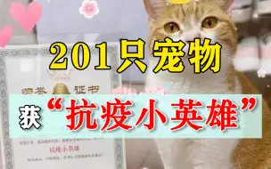 201只宠物获“抗疫小英雄”，深圳的温暖，给隔离主人满满安慰