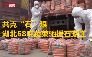 共克“石”艰  湖北68吨蔬菜驰援石家庄