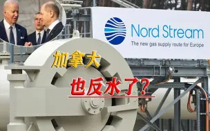 墙倒众人推，北溪事件捂不住了，西方阵营开始倒戈
