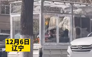 女子看夫妻躺车厢卖橘子，甜蜜倚靠吃橘子等顾客， 生活甜，砂糖橘也甜