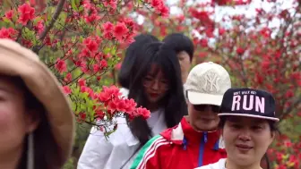 黄岩杜鹃花开 | 四月芳菲醉，人间仲春时