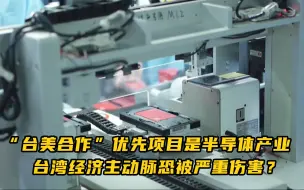 “台美合作”优先项目是半导体产业，台湾经济主动脉恐被严重伤害？