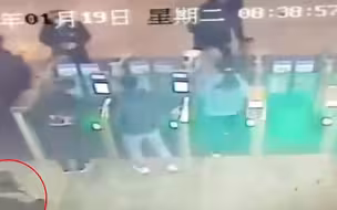 女子乘火车去苏州吃汤圆逃票118次 被采取刑事强制措施