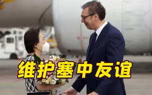 武契奇亲赴机场迎接中塞首个直飞航班：维护塞中友谊 无论如何不会反俄