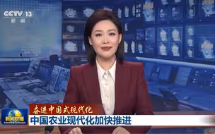 #视听里的中国【奋进中国式现代化｜中国农业现代化加快推进】（央视新闻）