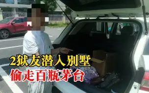 2人出狱后结伴行窃偷上百瓶茅台：目前已被依法刑事拘留