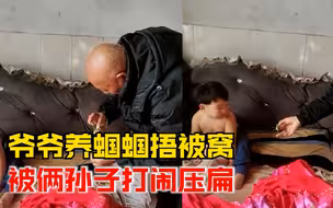 爷爷养蝈蝈捂被窝被孙子压扁，孩子妈：喜欢蝈蝈，但更心疼孙子