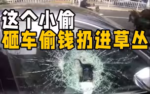 男子深夜砸车偷钱 竟将港币、美金撕碎后丢弃草丛 原因惊人！