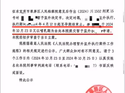 四川一95后罪犯4年怀孕产子3次 被质疑“逃避坐牢”