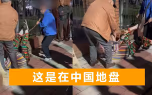 外国男子嫌夜市摊主喇叭太吵，拿出长棍殴打，中国大爷不忍了