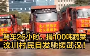 汶川村民驾车26小时，自发驰援武汉100吨蔬菜
