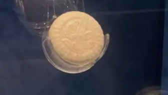古人也爱美，南宋的外销爆款！西沙华光礁I号沉船里光粉盒就有2000多件，800年前“中国制造”畅销海外#全国广电新媒体集结发光 #博物馆里的海洋