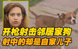 美国一母亲开枪射击邻居家狗 自家5岁儿子不幸“躺枪”