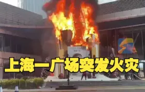 上海一广场突发火灾 巨型圣诞树烧成铁架