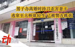 男子办离婚时杀伤妻子致其死亡，逃窜至大桥欲轻生