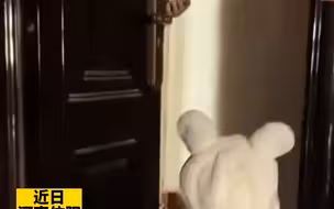 女子带孩子提前回家，姥姥姥爷看到外孙女抢着抱