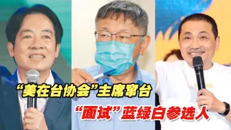 “美在台协会”主席窜台“面试”蓝绿白参选人，细节耐人寻味