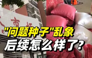 “问题种子”乱象追踪：安徽排查“三无”麦种8.6万余公斤，已立案32起