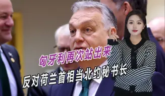关键时刻再次叫板美国，匈牙利再次站出来，反对荷兰首相掌管北约