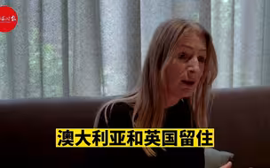 欧洲议会议员：希望欧洲政要访华是打破美霸权的开始