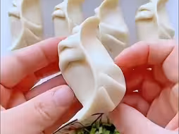 【冬至实用饺子包法】欢迎来到一看就会，一做就废系列😂