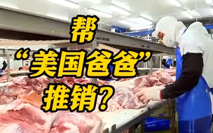 台湾10万公斤美国猪肉改标出售 民众不知情吃下肚