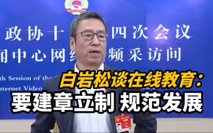 白岩松谈在线教育：要建章立制，规范发展