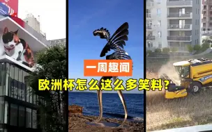 一周趣闻：波兰钉子户住宅区开收割机 欧洲杯怎么这么多笑料？