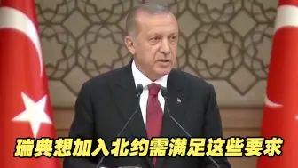 土耳其“拉清单”！瑞典想加入北约需满足这些要求
