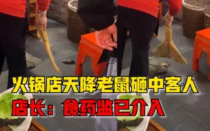 火锅店天降老鼠砸中客人，店长：不知道哪来的，食药监已介入