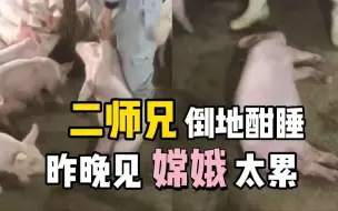 八戒！别睡了，高老庄到了！