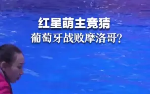 红星萌主竞猜｜葡萄牙战败摩洛哥？法国难胜英格兰？