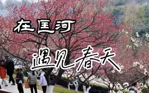 在匡河，遇见春天