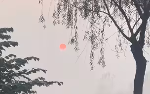 “东方美学诚不欺我，原来中国画真的是写实！”