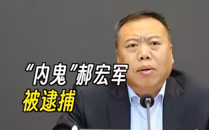 “内鬼”郝宏军，被逮捕！