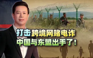 中国与东盟联手，动真格了？双方达成重磅合作，释放的信号不一般