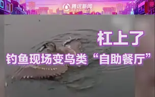 杠上了！江苏一男子钓鱼屡次被鸟打劫