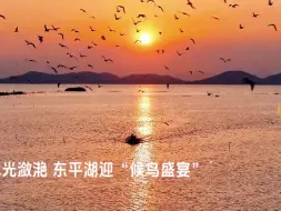 家在东平湖丨八百里水泊迎来冬日贵客 世界极危物种白枕鹤再度现身  #全国广电新媒体集结发光