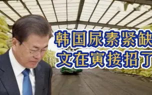 韩国紧缺尿素，求助中国后，文在寅政府出动执法小组，收获巨大