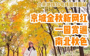 搭地铁逛北京｜新晋网红不收门票！园博园赏遍南北秋光