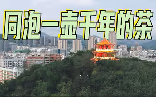 重磅发布MV《安溪真美》：非凡十年，同泡一壶千年的茶