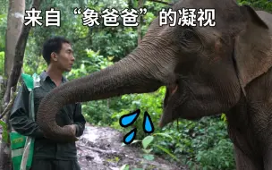 象宝宝，你们红了可别忘了他们啊！