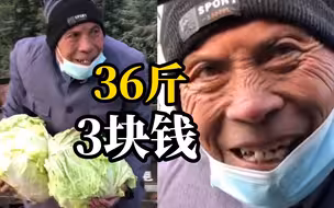 大爷卖36斤菜只要3块钱，满脸忐忑推销给过路司机：只要不烂在地里就好